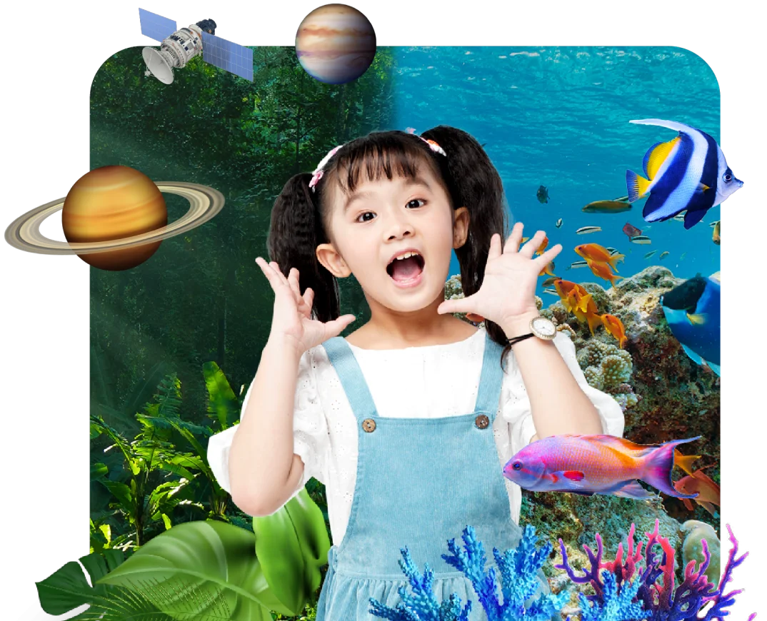 Xây dựng lộ trình học tập và tích lũy tiếng Anh toàn diện để thành công